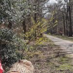 Belinda in het bos aan het ontspannen - LIN Skincare
